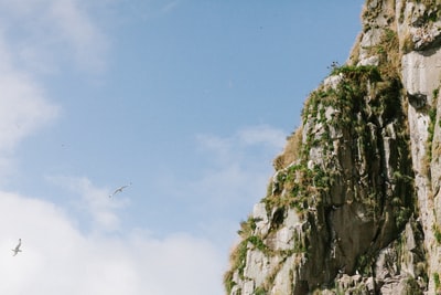 鸟飞过落基山白天

